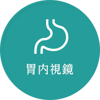 胃内視鏡